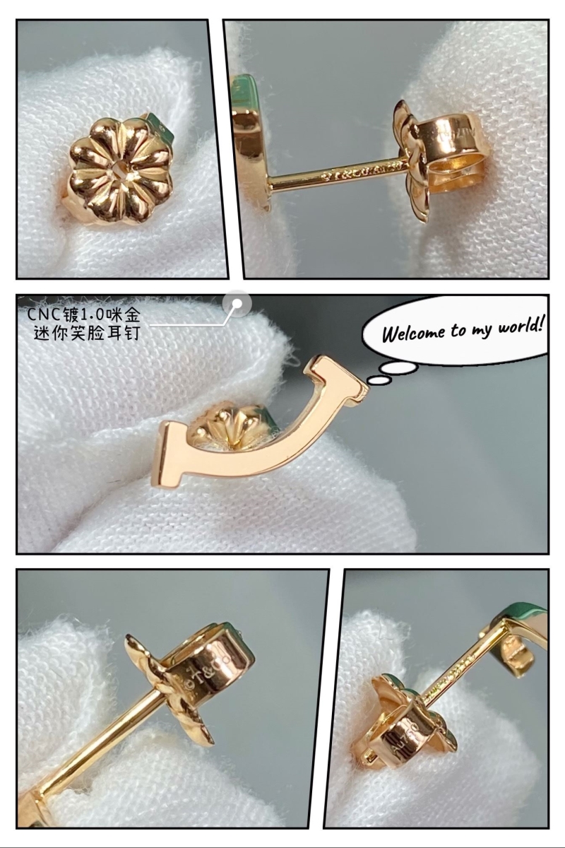 T*f*ny earrings